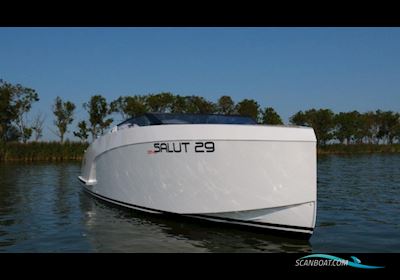 Salut 29 Motor boat 2020, with Evinrude engine, The Netherlands