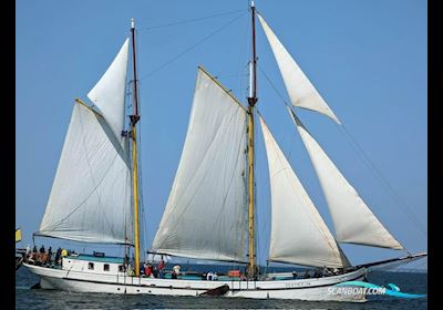 Traditional Wad- en Sontvaarder Bootstyp Keine Angaben 1924, mit Cummins motor, Niederlande