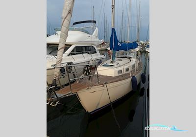 Rasmus 35 (1977) Segelboot 1977, mit Volvo Penta Skrueaksel motor, Dänemark