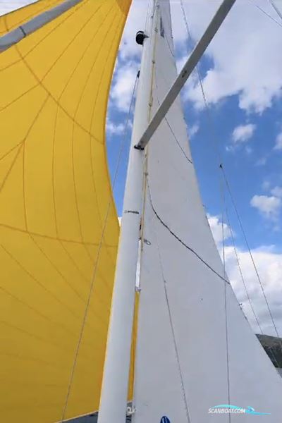 Saffier Sc800 Cabin Sailing boat 2018, The Netherlands