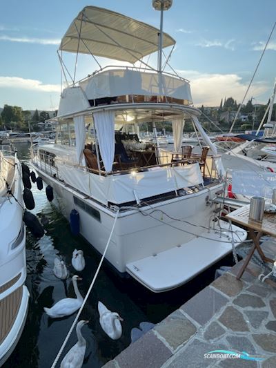 Chris Craft Commander 41 Fly Motorboot 1979, mit Cummins Diesel Welle motor, Italien
