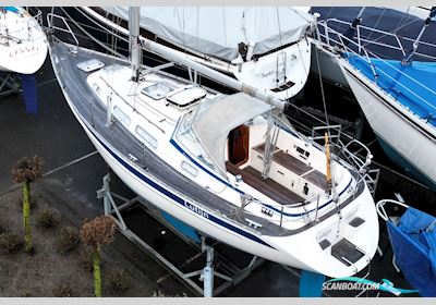 Hallberg-Rassy 31 Segelboot 1998, mit Volvo Penta motor, Niederlande