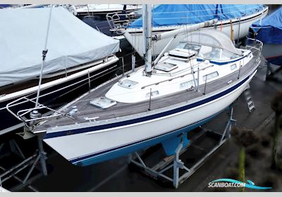 Hallberg-Rassy 31 Segelboot 1998, mit Volvo Penta motor, Niederlande