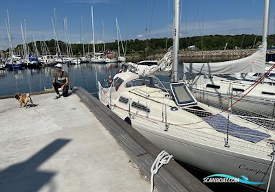 Albin Ballad Segelbåt 1978, med Volvo Penta MD7A motor, Danmark