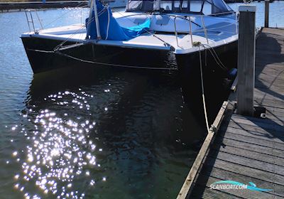 Havkat 31 Mehrrumpfboot 1992, mit Honda motor, Niederlande