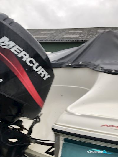 Mercury F60Elpt Bootsmotor 2002, Dänemark
