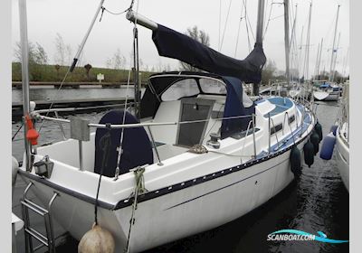 Grampian 34 MK2 Segelboot 1979, mit Volvo Penta motor, Niederlande