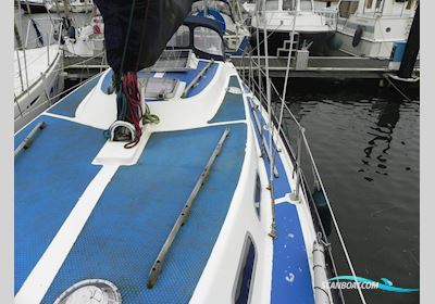 Grampian 34 MK2 Segelboot 1979, mit Volvo Penta motor, Niederlande
