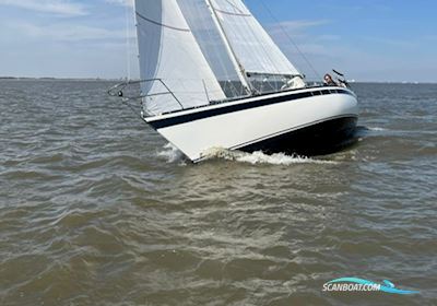 Finnfire 33 Segelboot 1978, mit Volvo Penta D1-20 motor, Deutschland