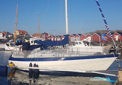 Forgus 31 Segelboot 1976, mit Bladt motor, Dänemark