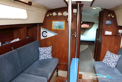 Zeilboot Cal 31 Sejlbåd 1979, Holland