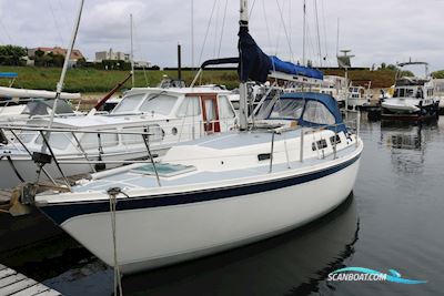 Zeilboot Cal 31 Sejlbåd 1979, Holland