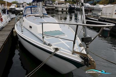 Zeilboot Cal 31 Sejlbåd 1979, Holland