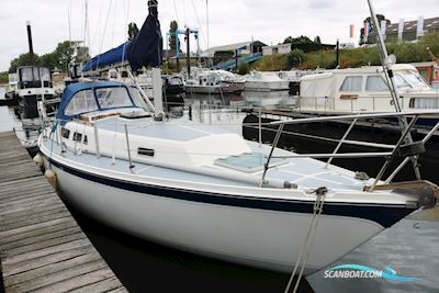 Zeilboot Cal 31 Sejlbåd 1979, Holland