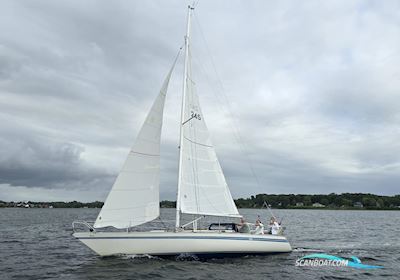Aphrodite 101 Sejlbåd 1984, med Yanmar 1GM motor, Tyskland