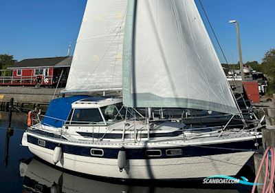 Winga 87 Segelboot 1981, mit Solé Mini motor, Dänemark