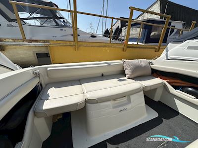 Sea Ray 215 Motorboot 1993, Niederlande