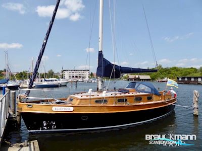 GD Boote Daulsberg 31 Segelboot 1989, mit Vetus motor, Deutschland