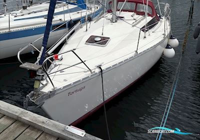 Jeanneau Arcadia Zeilboten 1985, met Yanmar motor, Denemarken