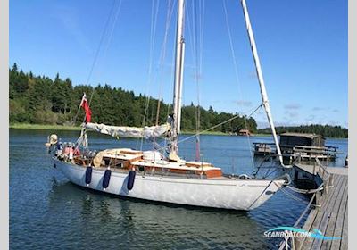 Buchanan 37 Sailingboat 1962, with Volvo 2003 engine, Denmark