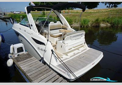 Sea Ray 265 Sundancer DA Motorbåd 2016, med Mercuiser motor, Holland