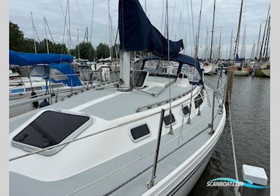 Catalina 34 Sailingboat 1990, with Universal engine, The Netherlands
