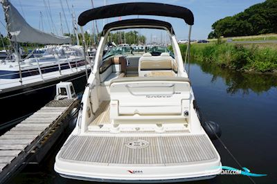 Sea Ray 265 Sundancer DA Motorbåd 2016, med Mercuiser motor, Holland