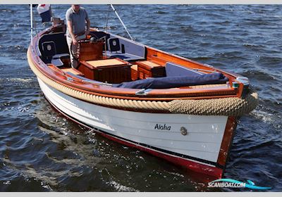 Wester Engh 800 Classic Motorboten 2023, The Netherlands