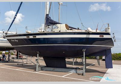 Van de Stadt 36 Zeehond Sejlbåd 1991, med Mercedes OM636 motor, Holland