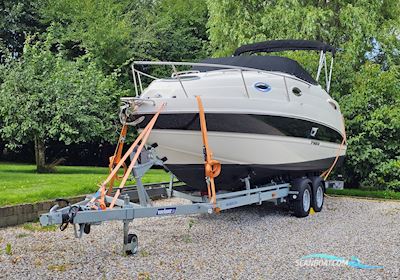 Stingray 250 CS INKL. næsten ny trailer Motorboot 2013, mit Volvo Penta V8-270 motor, Dänemark