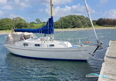 Hallberg-Rassy 31 Monsun Sejlbåd 1976, med Volvo Penta MD2030 motor, Danmark