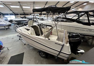 Quicksilver 455 Motorboten 2018, met Mercury motor, Denemarken