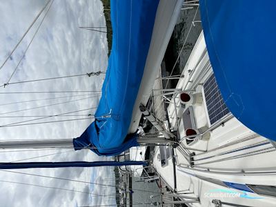 Wasa 370 Zeilboten 2008, met Yanmar
 motor, Denemarken