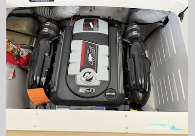 Sea Ray 190 SPX Motorboat 2026, with Mercruiser engine, The Netherlands