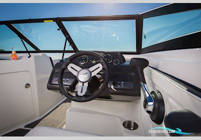 Sea Ray 19 SPX Motorboat 2016, The Netherlands