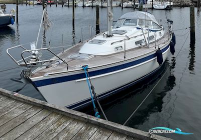 Hallberg Rassy 31 MKII Segelboot 2009, mit Volvo Penta D1-20 motor, Dänemark