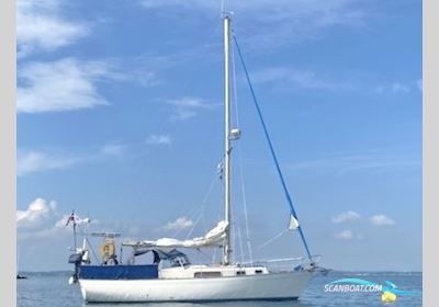 Hallberg Rassy Rasmus 35 Sejlbåd 1977, med Nanni
 motor, Danmark