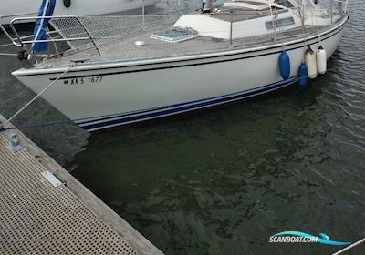 Albin Alpha 29 Sejlbåd 1986, med Yanmar 1GM10 motor, Tyskland