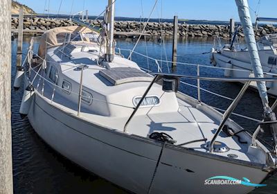 Bianca 27 Sejlbåd 1972, med Yanmar 2GM20F-EU motor, Danmark