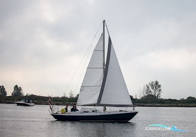 Grace 30 Segelboot 1969, mit Yanmar 2GM motor, Dänemark
