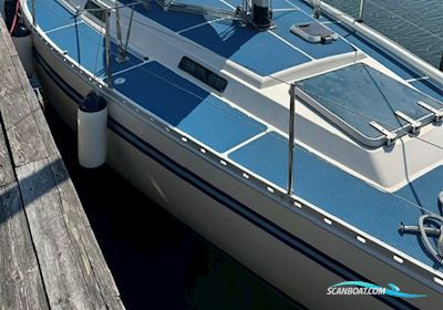Bianca 320 Zeilboten 1986, met Yanmar 2GM20 motor, Denemarken