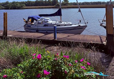 Mascot 28 Sejlbåd 1986, med Volvo Penta MD 2003 motor, Tyskland