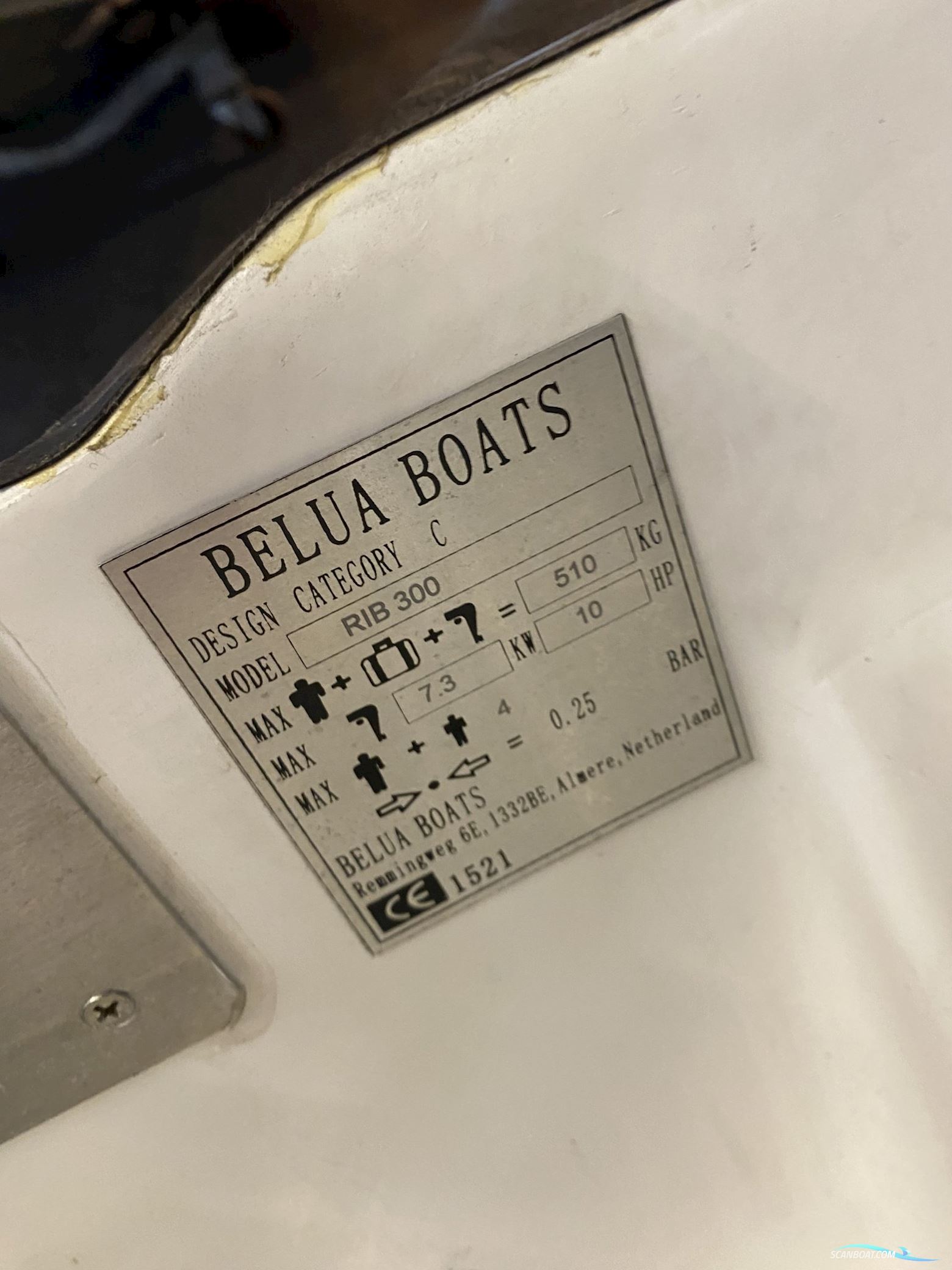 Belua RIB 300