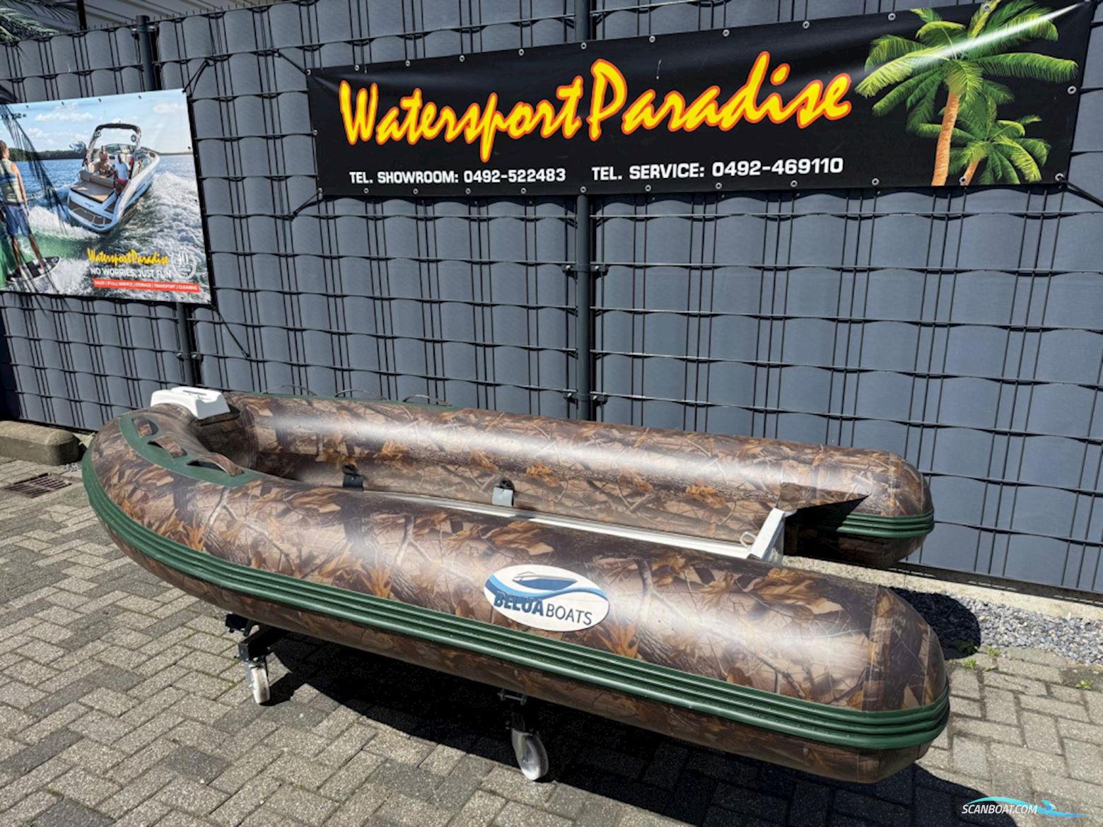Belua Rib 300