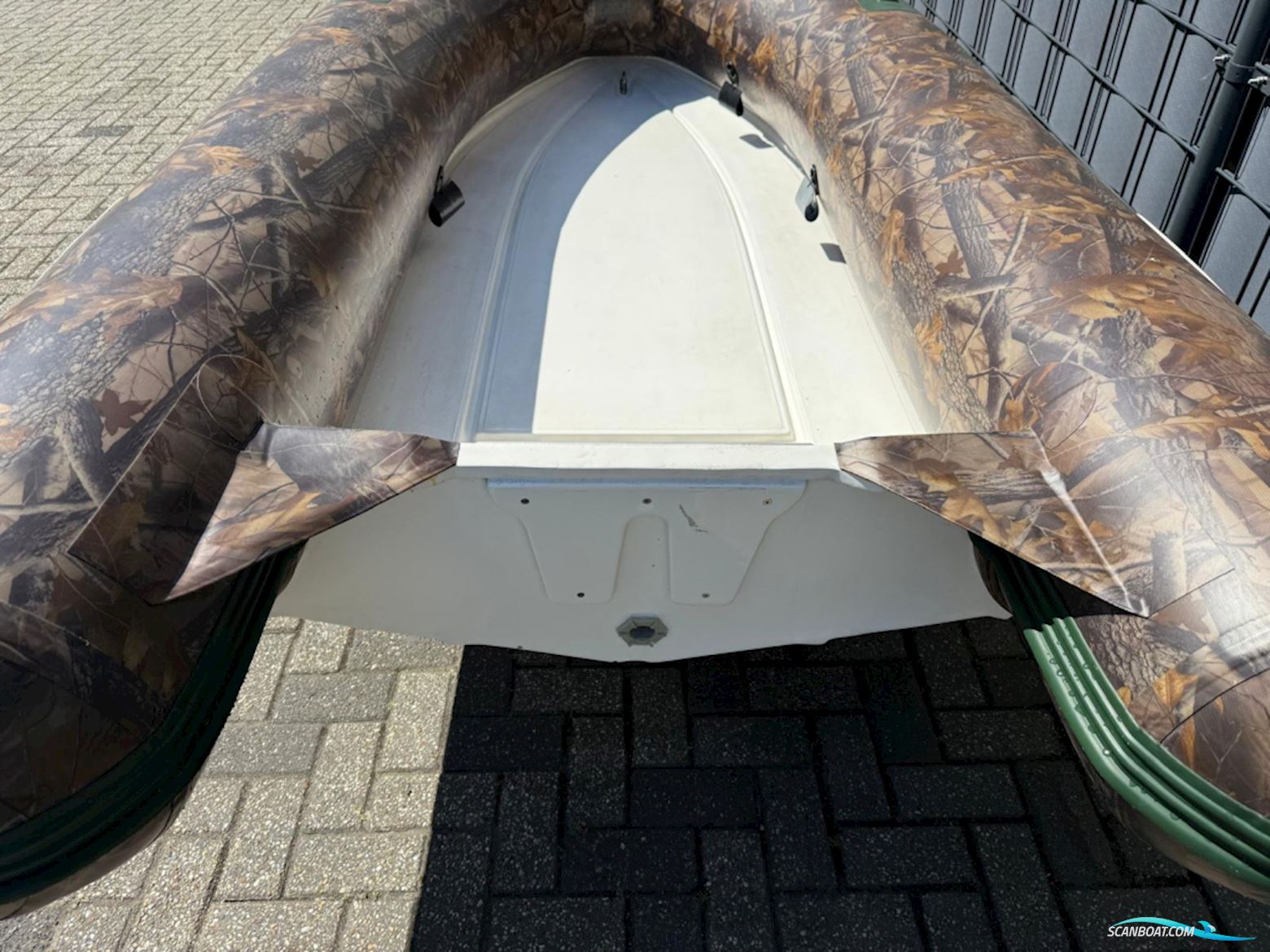 Belua Rib 300