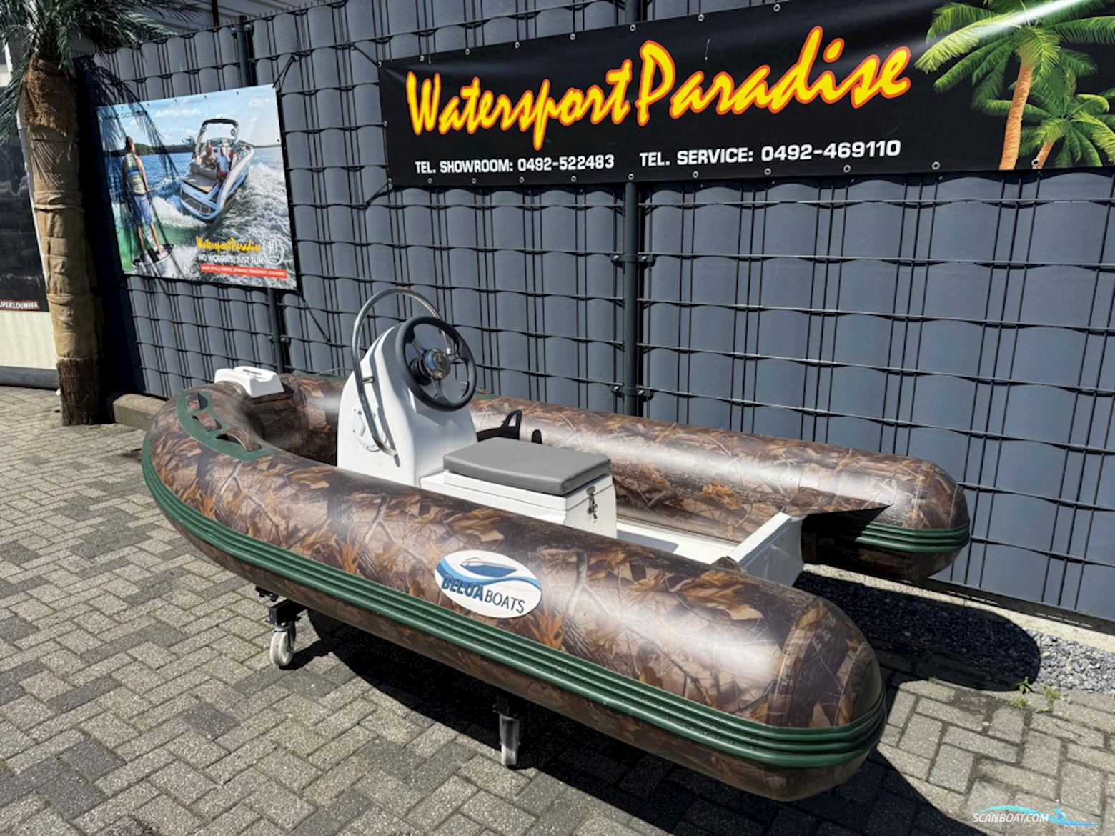Belua Rib 300