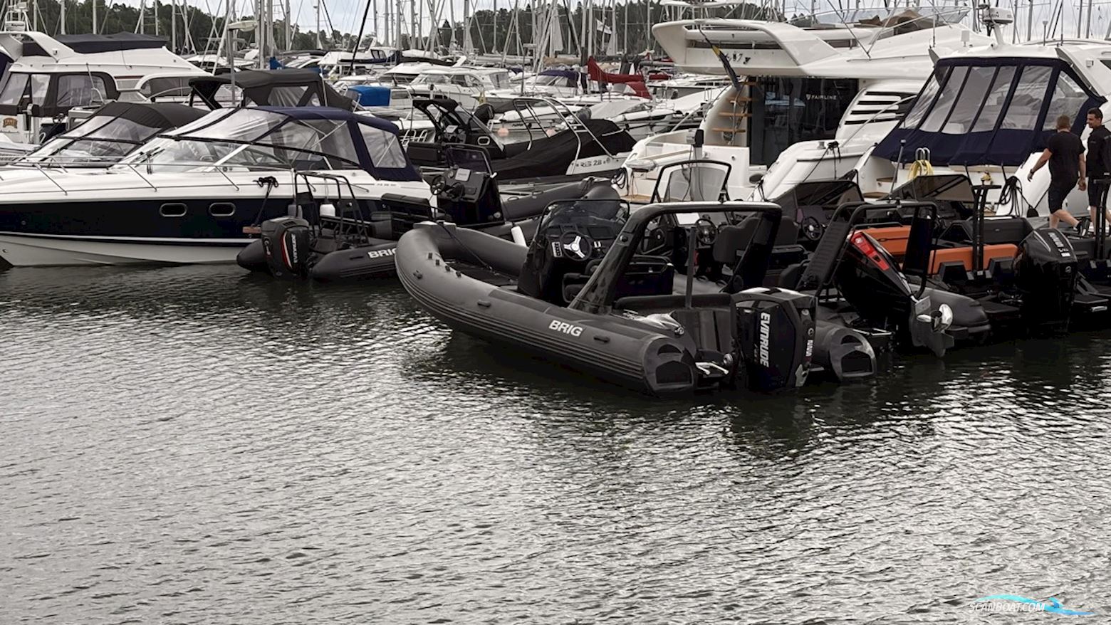 Brig Eagle 650