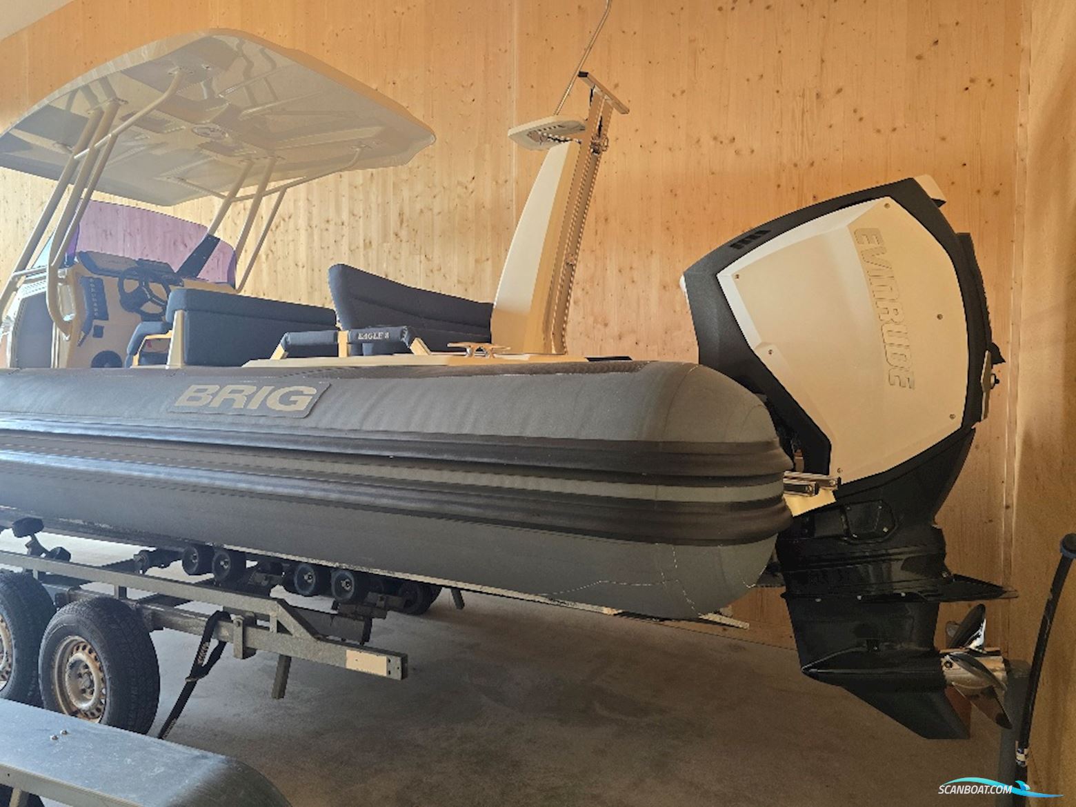BRIG Eagle 8