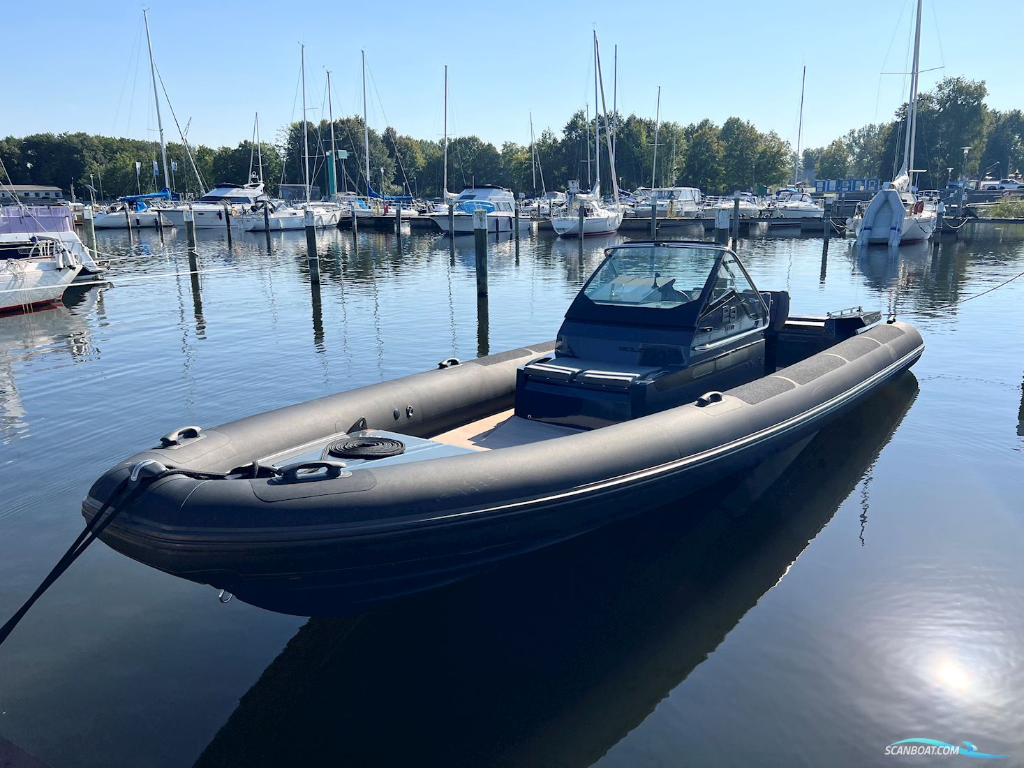 Goldfish 29 Sport