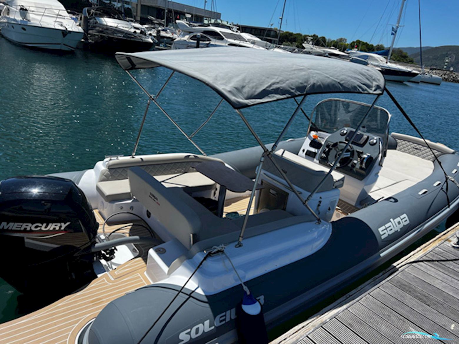 Salpa Soleil 23